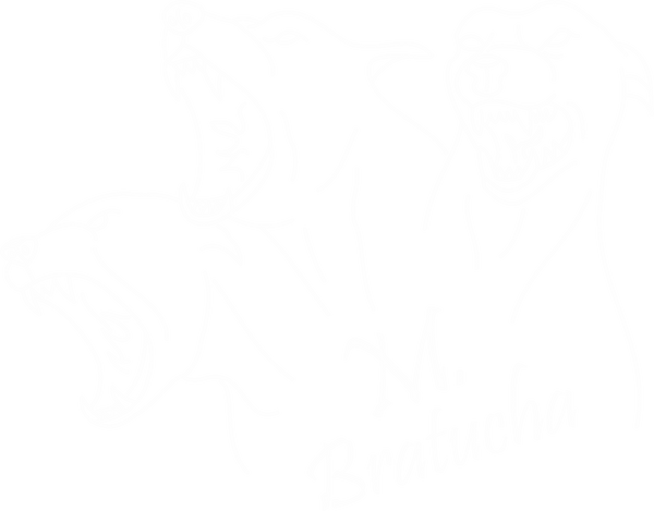 M.Bratucha